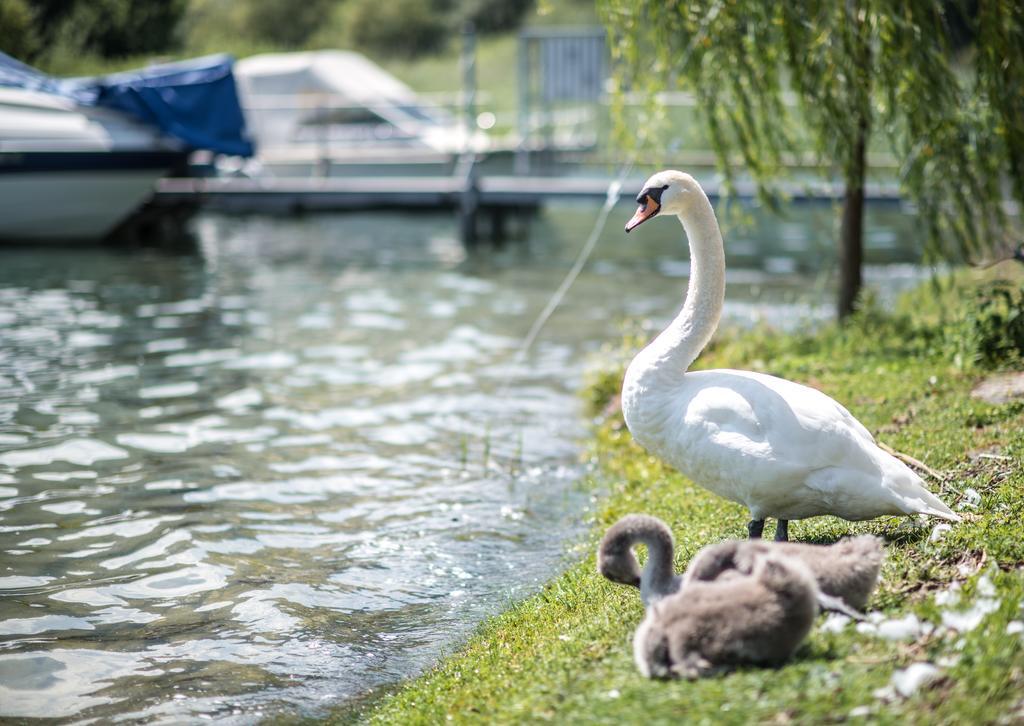 Seehotel Sternen 4*